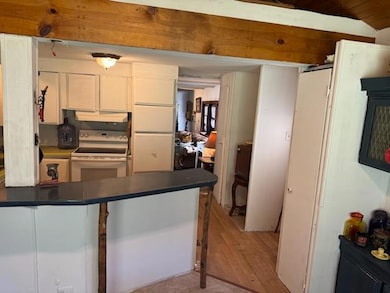 3402 W Moore Rd, Spencer, IN 47460 - photo 6