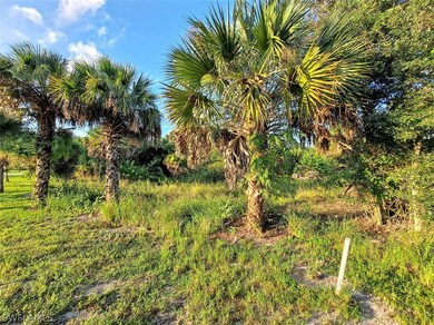 ALMOST A HALF ACRE 0.43 acre