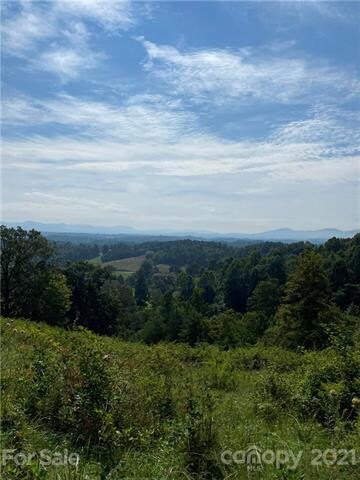 000 Don Felmet Rd, Leicester, NC 28748 - photo 4