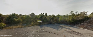 2854 Overland Ct SW, Palm Bay, FL 32908 - photo 3