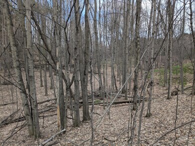 mixed trees