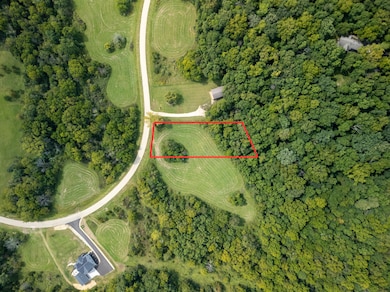 60 Shenandoah Dr, the Galena Territory, IL 61036 - photo 6