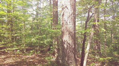 20200730_103140_Film4