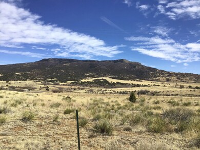 H/W 72 Cherokee Hills Rd unit LOT 4, Raton, NM 87740 - photo 6