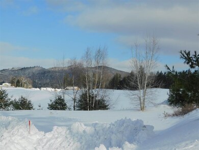 00-L3 Balsam Ln unit 3, Campton, NH 03285 - photo 3