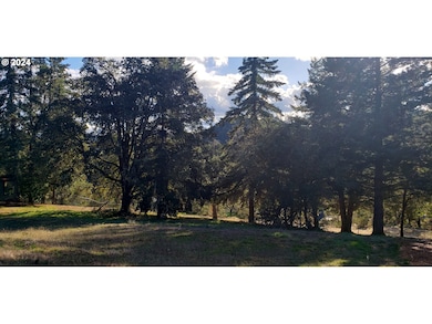 284 Edgeview Dr, Elkton, OR 97436 - photo 3