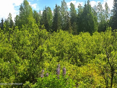 Lupine Land
