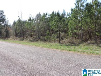 0 County Road 329 unit 21380236, Wedowee, AL 36278 - photo 4