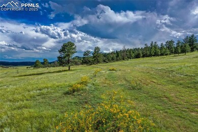 TBD Spring Valley Dr, Florissant, CO 80816 - photo 5