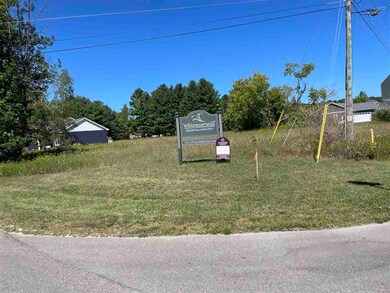 Lot 33 Weislik Ct, Charlevoix, MI 49720 - photo 6