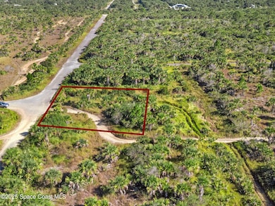 1014 Ponder St SW, Palm Bay, FL 32908 - photo 3