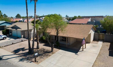 aerial1