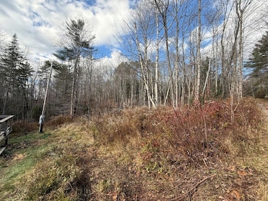 7 Breezy Point Rd, Warren, NH 03279 - photo 3