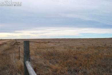 000 Berridge Rd, Yoder, CO 80864 - photo 4