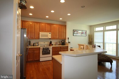 22089 Chelsy Paige Square, Ashburn, VA 20148 - photo 6