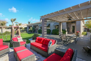 Backyard2