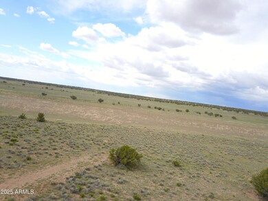 47_48 pic 8