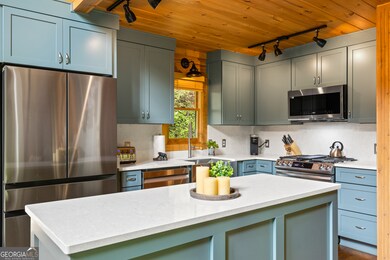 744 Old Loving Rd, Morganton, GA 30560 - photo 7