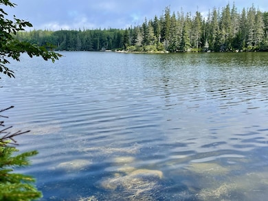 0A Old Harbor Rd, Vinalhaven, ME 04863 - photo 4