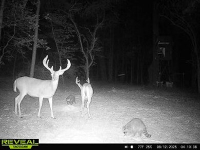 Tbd, Fouke, AR 71837 - photo 4