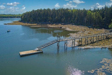 Common pier and float