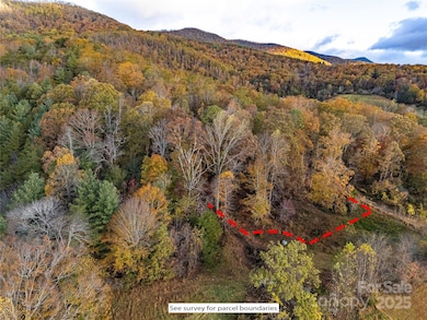 TBD Mystic View Ln, Black Mountain, NC 28711 - photo 5
