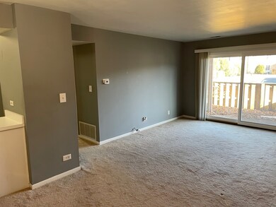 4506 Kings Walk Dr unit 1B, Rolling Meadows, IL 60008 - photo 4