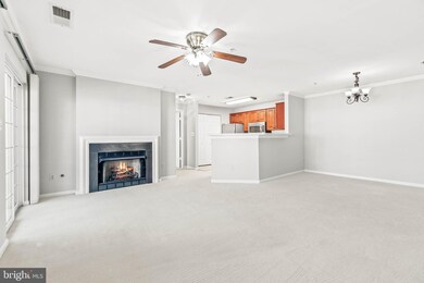 11005 Kinship Ct unit 201, Manassas, VA 20109 - photo 7