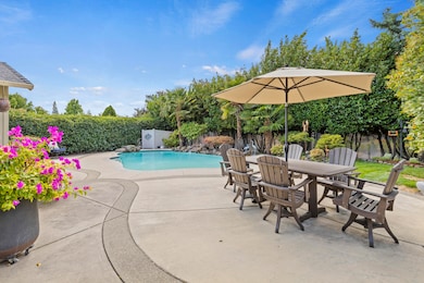 Backyard with Solar Heated Pool