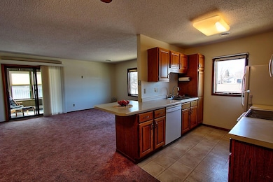 222 Sargent Dr unit 202, Red Wing, MN 55066 - photo 6