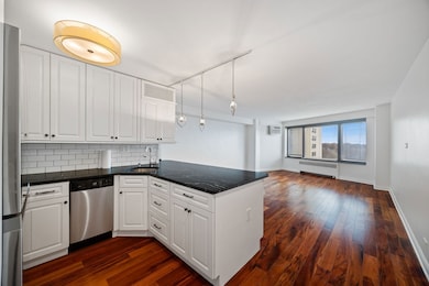 The Darien unit 711, Chicago, IL 60657 - photo 6