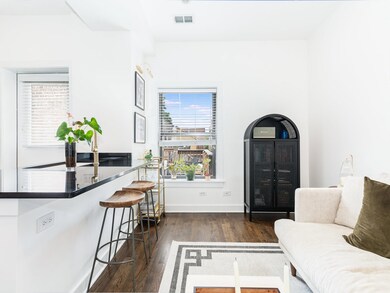 3400 N Greenview Ave unit 3N, Chicago, IL 60657 - photo 5