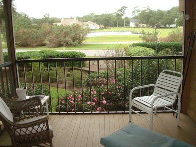 253 Moss Oak Ln, Saint Simons Island, GA 31522 - photo 3