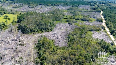 XX6 John Marsh Rd, Bonifay, FL 32425 - photo 4