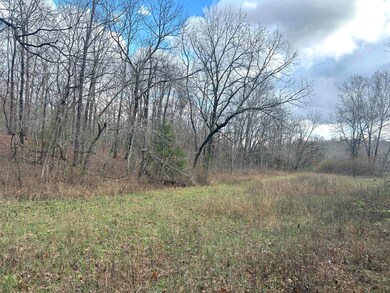 0 E Highway 14 Private Dr unit D, Ava, MO 65608 - photo 5