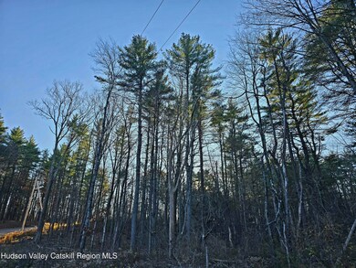 Lot 10 County Road 51, New Baltimore, NY 12124 - photo 5