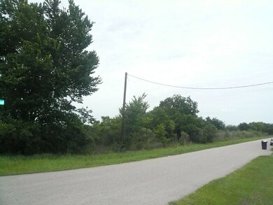 3311 Muegge Rd, Rosenberg, TX 77471 - photo 2