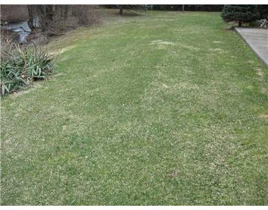 Yard/Garden.