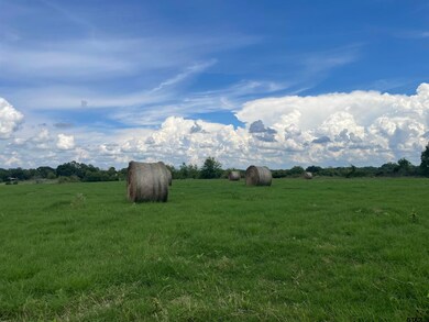 8163 & 8181 Cr 1200, Mount Pleasant, TX 75455 - photo 3