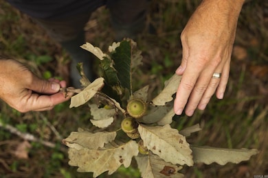 TBD Forrest Rd Fields, Malvern, AR 72104 - photo 2