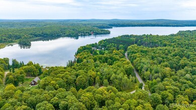 TBD E Hagerman Lake Rd, Iron River, MI 49935 - photo 4