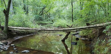 0 N Carolina 87 unit 60025, Pittsboro, NC 27312 - photo 6