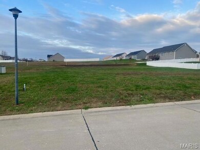 124 Vista Vallarta Dr, Union, MO 63084 - photo 2