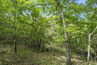 Table Rock Lake Built Site Acreage