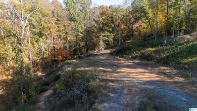 8024 Eagle Crest Ln, Shelby, AL 35242 - photo 3