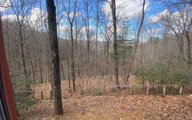 Additional View