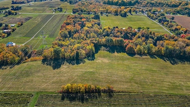 50-web-or-mls-DJI_0714