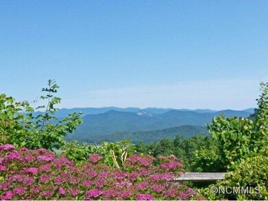 Connestee Falls Overlook