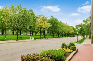 Beautiful Landscaping