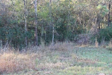 26527 Joseph Rd, Hockley, TX 77447 - photo 3